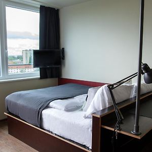 Mittelgroßes Studio mit Kingsize-Bett